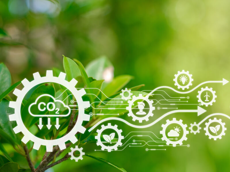 Driving a Sustainable Digital Economy