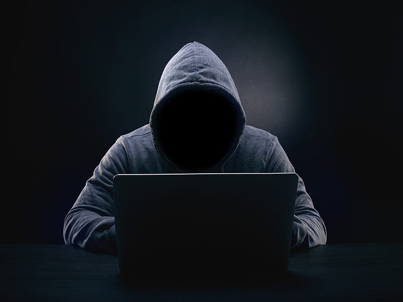It’s Too Good to Be True: Do We Recognise Internet Fraud?